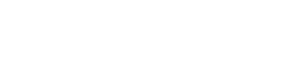 development-report-text1